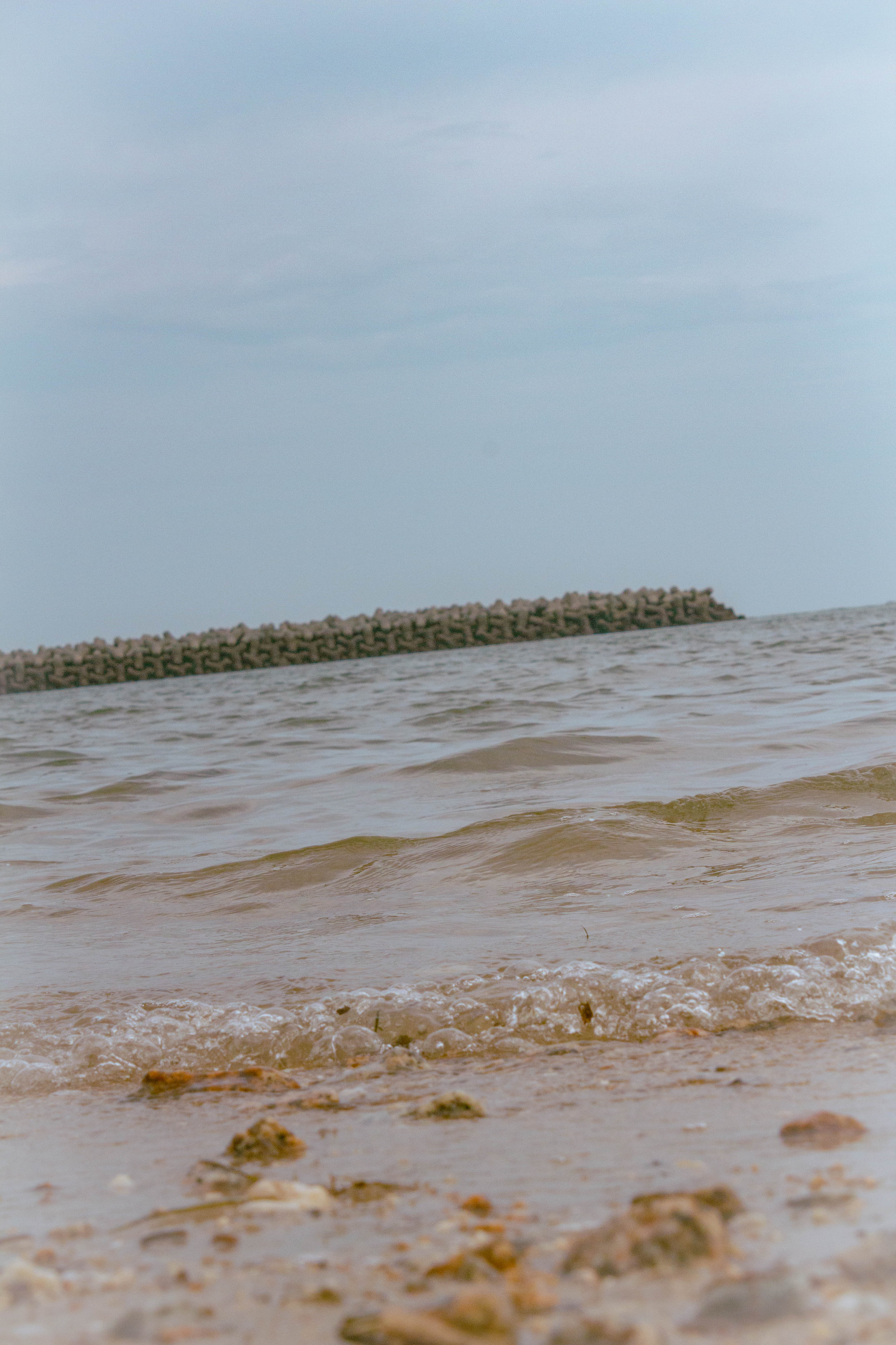 海