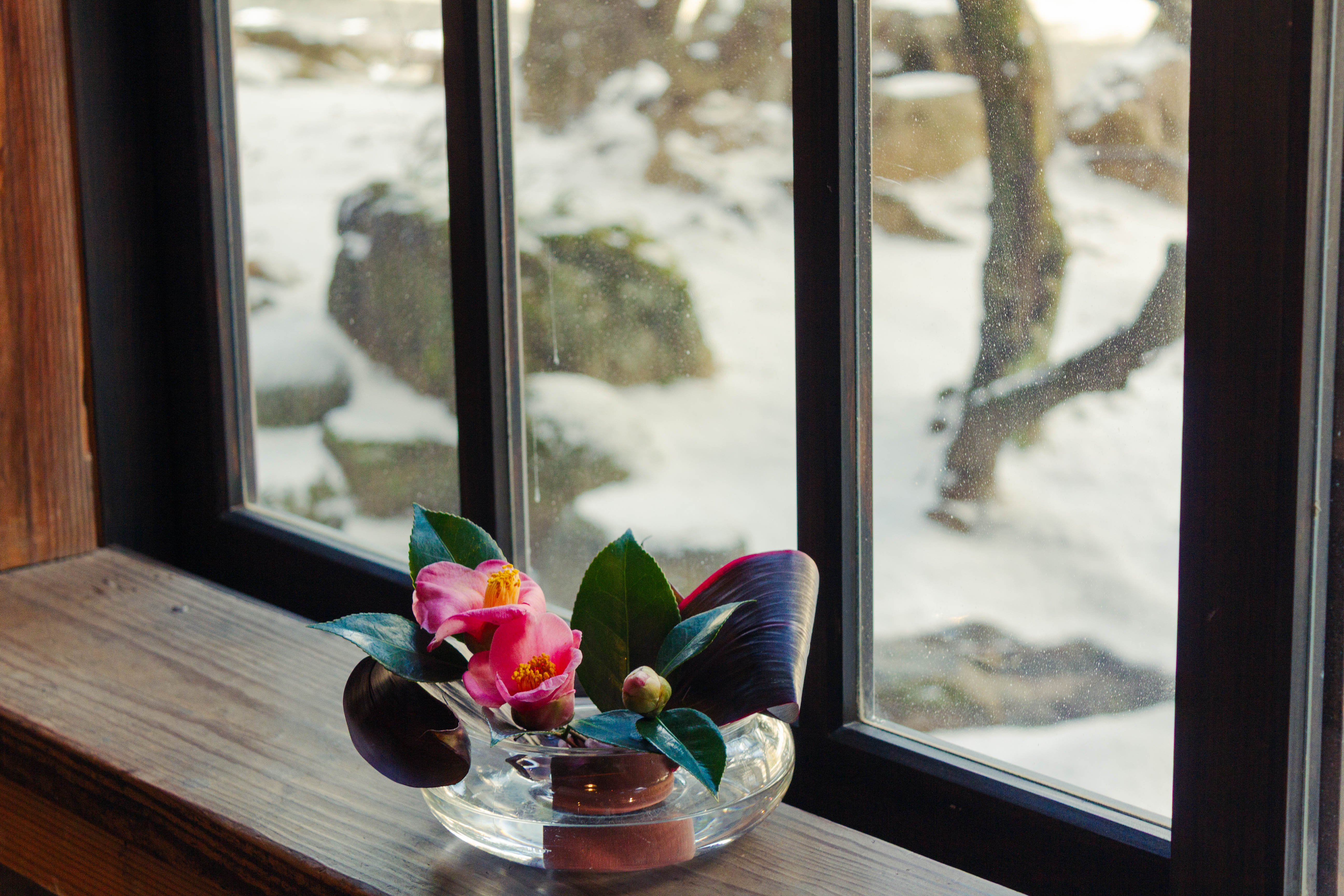 雪と花